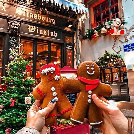 De Charme Dans Un Monument Historique Date De 1544, Au Centre De * アグノー